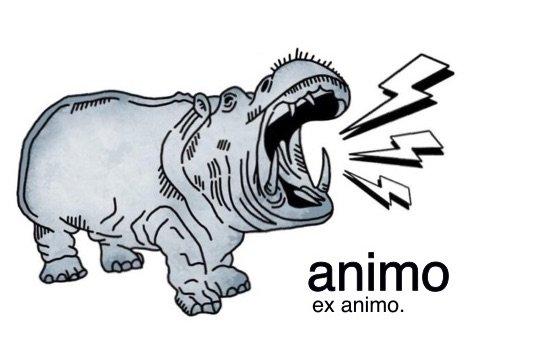 Animo Electric