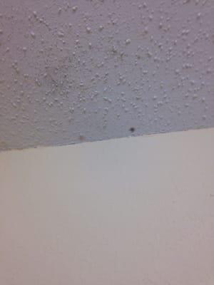 Mold in bathroom