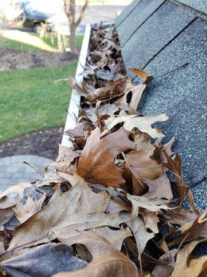 Professional gutter cleaning in Woodbridge, VA! CALL/TEXT - (703)789-7395 www.SJContractorServices.com/Gutter-Cleaning