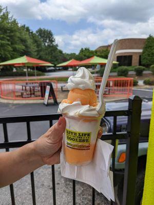 Small Key West Tropical Gelati