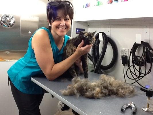 Stella got all this hair removed with a good bath and comb out! I LOVE grooming cats!