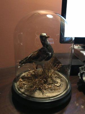 Victorian Sand Bird