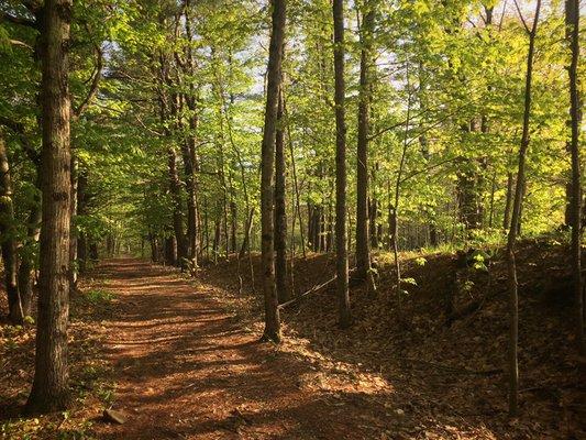 Spring morning on the trails!