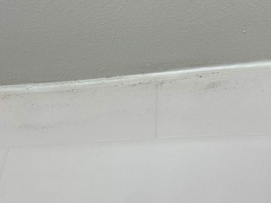 Mold at top of shower wall.