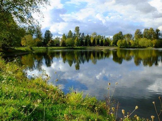 Late afternoon in early October at South Lewis County Park pond.