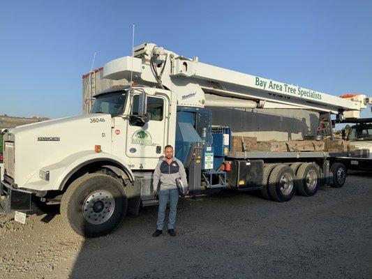 Bay Area Tree Specialists