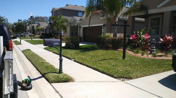 After pic of lawn mowed, edged, weed eater, blower.