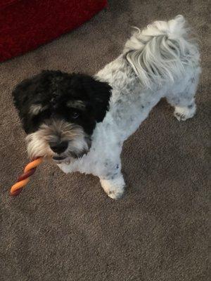 Winston says.... I got my Beefy Cheesy Stix!!!!