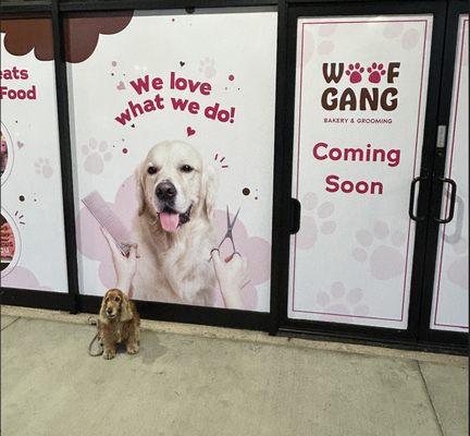 Woof Gang Bakery & Grooming - South Redondo