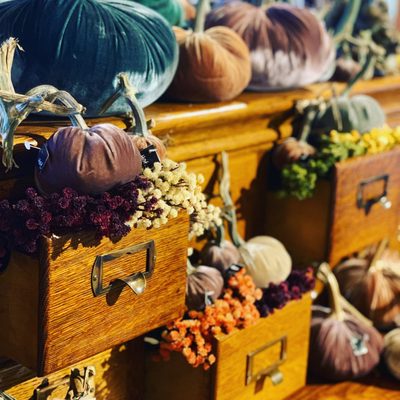 Handmade velvet pumpkins with actual pumpkin stems!