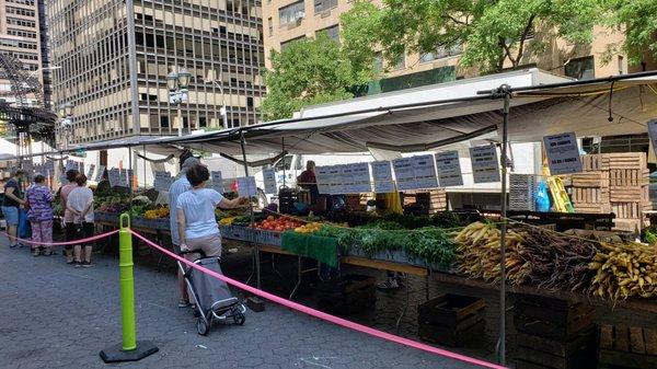 Line only for fresh vegetables.