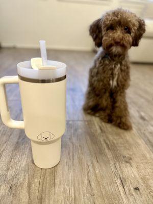 My Stanley tumbler design with my pup