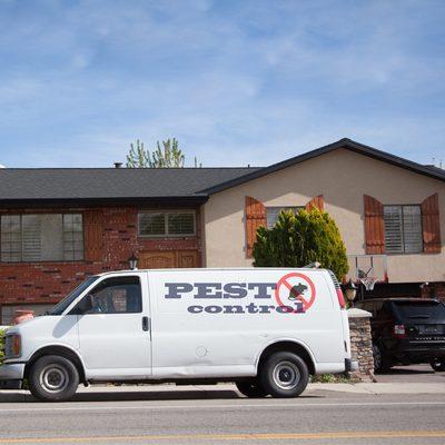 Pestpatrol Experts