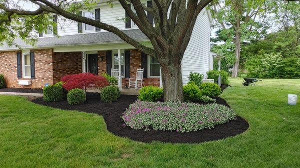 Mulch Installation