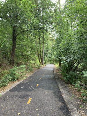 Paved path from Logs to Paper display