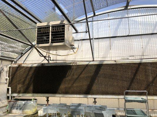 This is why it is so cool in the greenhouse! Shop comfortable at this location.