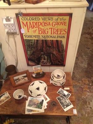 Colored Views of the Mariposa Grove of Big Trees, Yosemite National Park