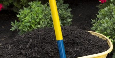 Black Dyed Mulch