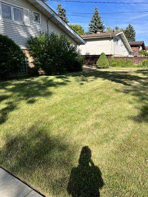 Backyard after mow, edging.