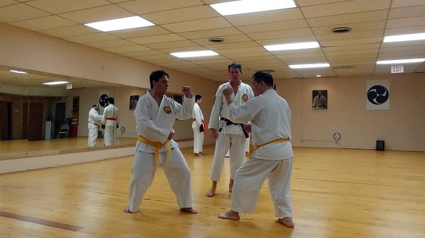 Students are carefully built up for sparring [Kumite] by black belts, starting at gold belt level