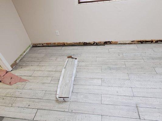 Office building removed carpet and wood looking tile installation