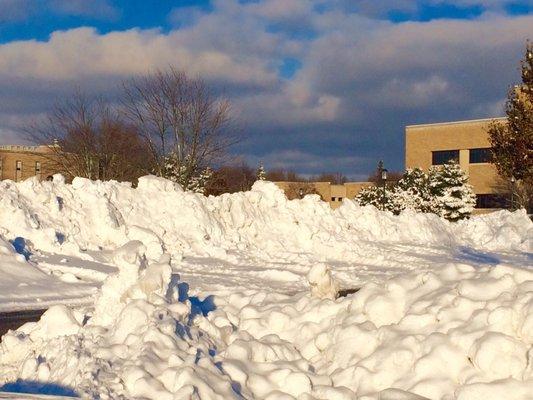 Snow Days @ Purdue Northwest.