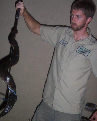 Snake Removal