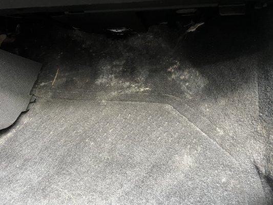 Passenger side floor board with mold.