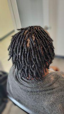 (After) Starter Locs