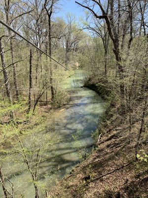 Zip line course over water. Saw some turtles!