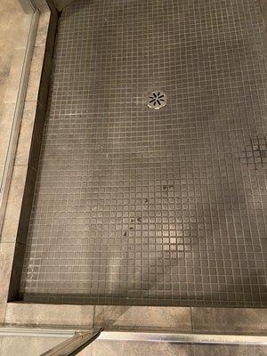 Shower floor after cleaning. The tiles just need to be scrubbed and they didn't do that.