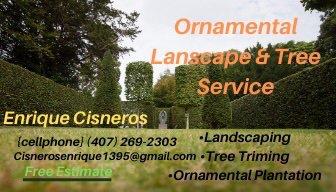 Ornamental landscape & Tree Service