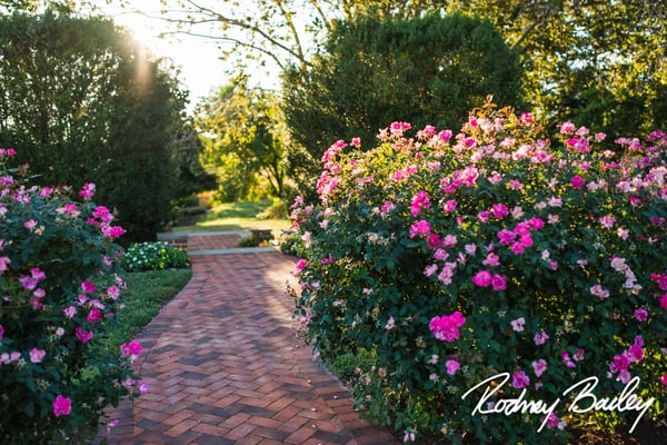 Brick walkways