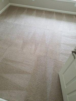 Pro Experts Carpet Cleaning