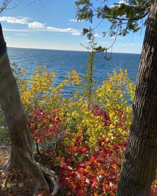 The view from behind school house in fall