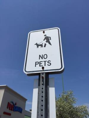 No pets?