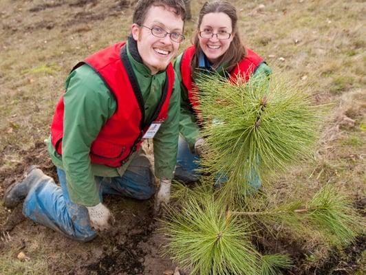 Romance is budding at this Friends of Trees volunteer event.