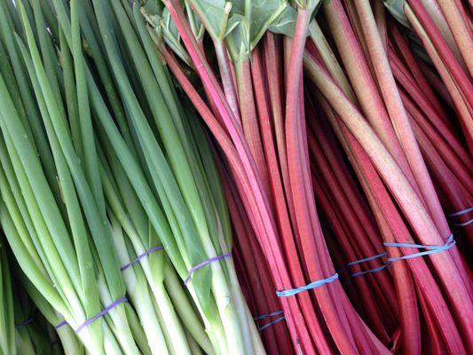 Spring produce, including green onions and rhubarb.