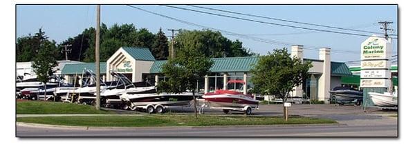 Large Clean Showroom