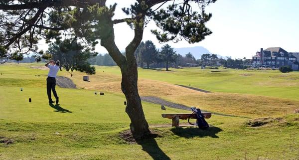 Across #13 and #12 towards the Clubhouse