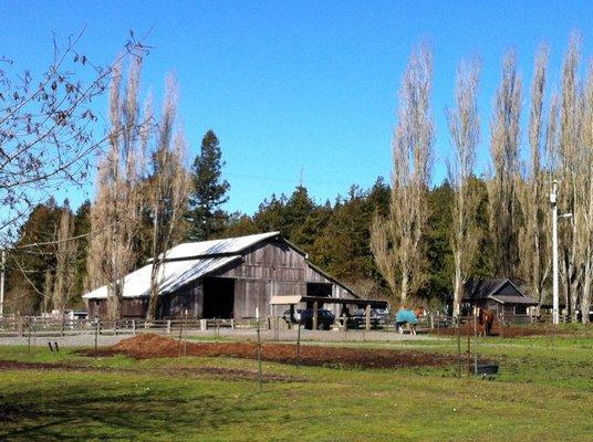 Freshwater Valley Stables