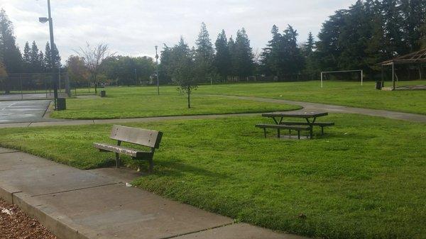 Picnic area / bench