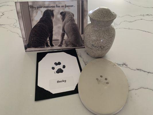 Sympathy card and paw prints received today.