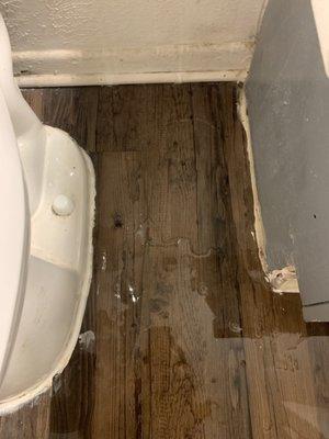 Bathroom sink leaking