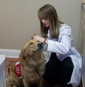 From check ups to emergency care, Lake Cable Animal Hospital is where your pet should be in North Canton, Ohio.