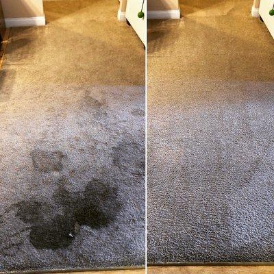 Carpet cleaning. Steam deep carpet cleaning.