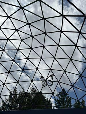 Geodesic, butterfly, sky