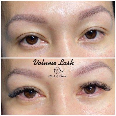 Volume Lashes