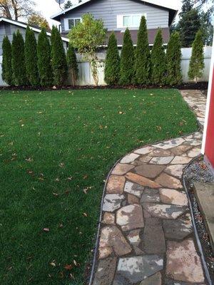 Lawn Renovation with added stone walk way