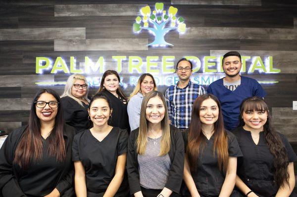 Palm Tree Dental - Staff